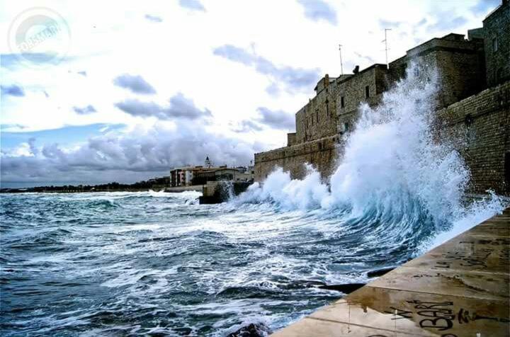 Il Da Vinci Casa Vacanze Giovinazzo Dış mekan fotoğraf