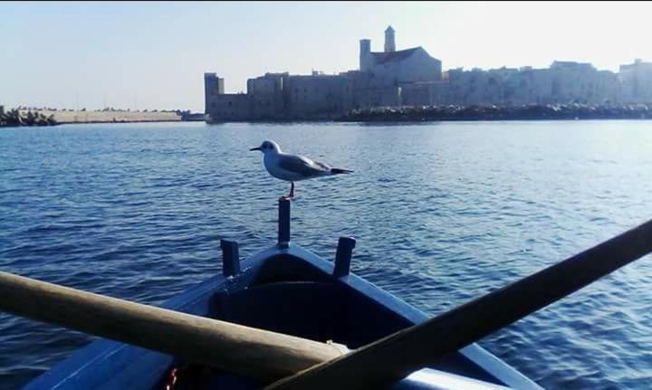 Il Da Vinci Casa Vacanze Giovinazzo Dış mekan fotoğraf